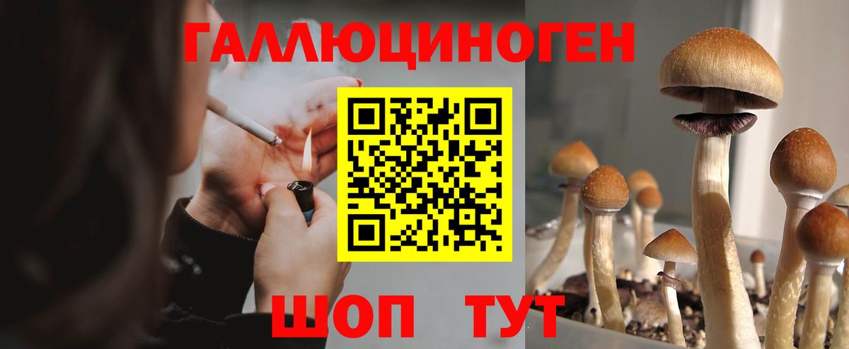 Галлюциногенные грибы прущие грибы Ахтубинск