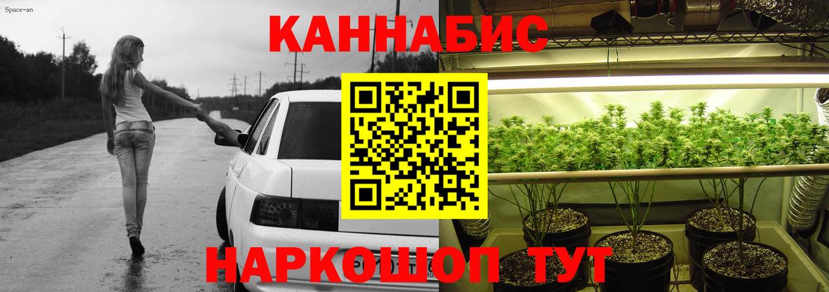 Шишки марихуана гибрид Ахтубинск